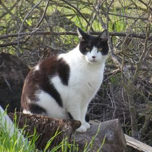 Meet your Posher, Linda